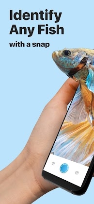 Picture Fish - Fish Identifier Mod Apk
