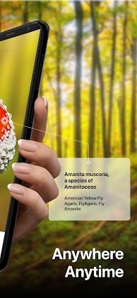 Download Picture Mushroom - Mushroom ID Mod Apk
