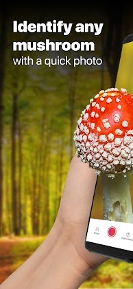 Picture Mushroom - Mushroom ID Mod Apk