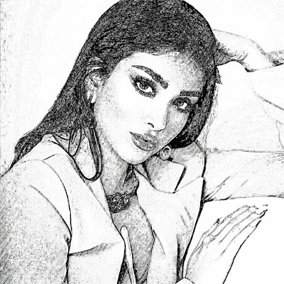 Portrait Sketch HD Mod Apk