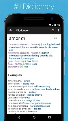 Portuguese English Dictionary Mod Apk