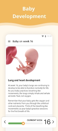 Download Pregnancy Tracker Mod Apk