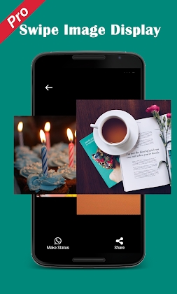 Pro Status download Video Image status downloader Mod Apk