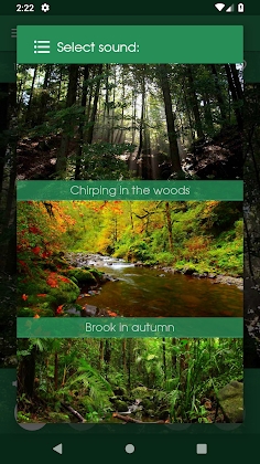 Relax Forest - Nature sounds: sleep & meditation Mod Apk