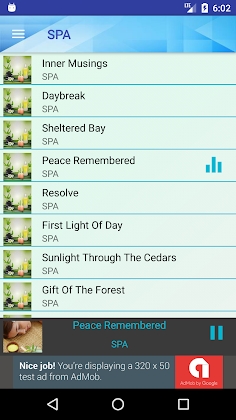 Download Relaxing Music Collection Mod Apk