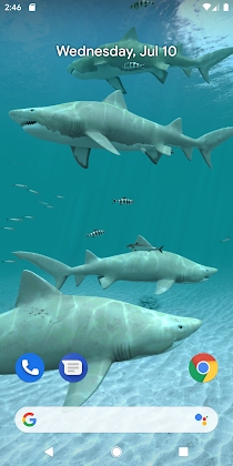 Download Sharks 3D - Live Wallpaper Mod Apk