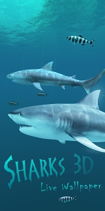 Sharks 3D - Live Wallpaper Mod Apk