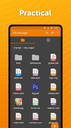Download Simple File Manager Pro Mod Apk