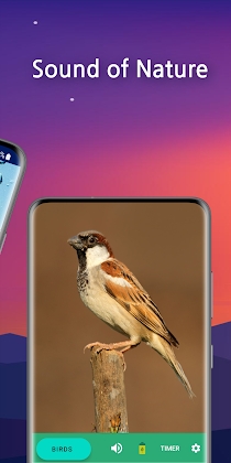 Download Sleep Faster, Meditation Pro Mod Apk