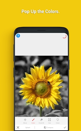 Snap Image Editor-Photo Editor Mod Apk