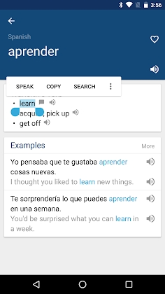 Spanish English Dictionary & Translator Free Mod Apk