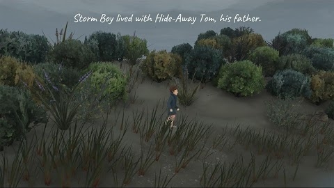 Storm Boy Mod Apk