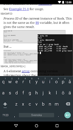 Termux:Float Mod Apk