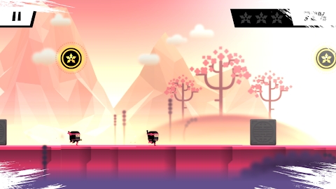 The Last Ninja Twins Mod Apk
