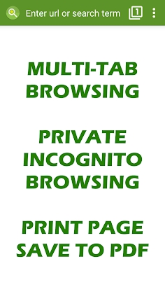 Tiny Browser Pro Mod Apk