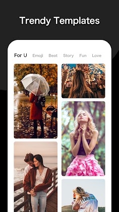 VidArt: MV & Insta story maker Mod Apk