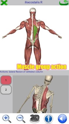 Download Visual Anatomy 2 Mod Apk