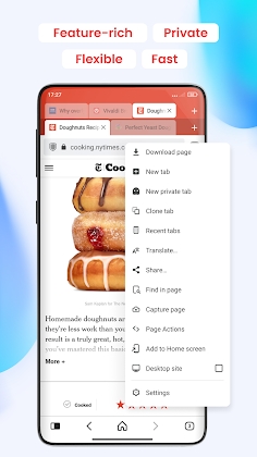 Download Vivaldi: Private Browser Mod Apk
