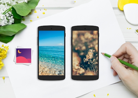Download WalladictPro - Wallpaper Mod Apk