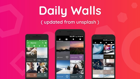 Wallzy - Own your wall Mod Apk