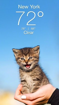 Weather Kitty - App & Widget Weather Forecast Mod Apk