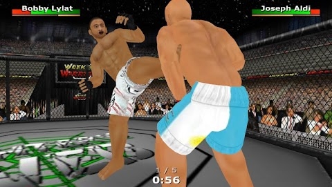 Weekend Warriors MMA Mod Apk