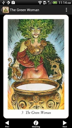 Wildwood Tarot Mod Apk
