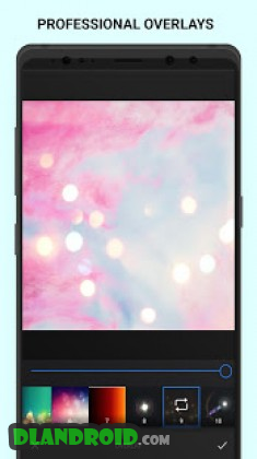 Analog Pink - Palette Pink - Film Filters Apk