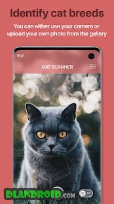 Cat Scanner Cat Breed Identification Apk Mod 12.8.5-G Premium