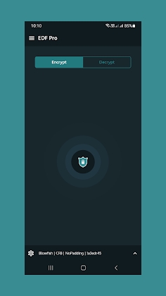 Encrypt Decrypt File Pro Apk