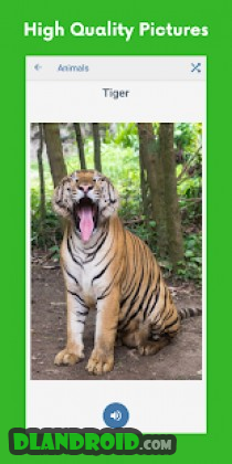 Flashcard Baby (No Ads) Apk