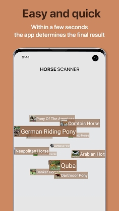 Horse Scanner Horse Breed Identification Apk