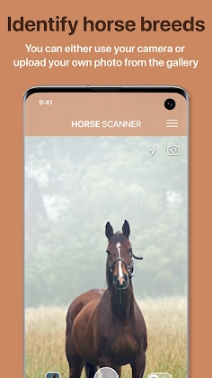 Horse Scanner Horse Breed Identification Apk 12.8.15-G Premium