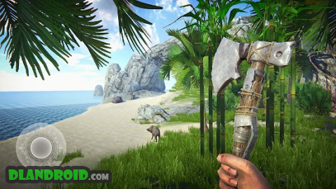 Last Pirate: Island Survival 1.1.2 Apk Mod latest