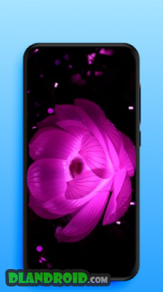 Live Wallpapers | Video Wallpapers Apk Mod