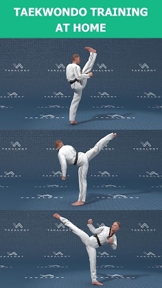 Mastering Taekwondo at Home Apk Mod