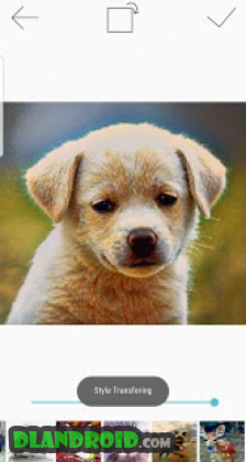 Paintly Lite Apk