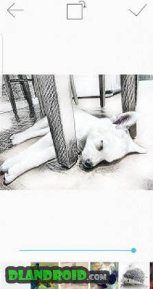 Paintly Lite Apk