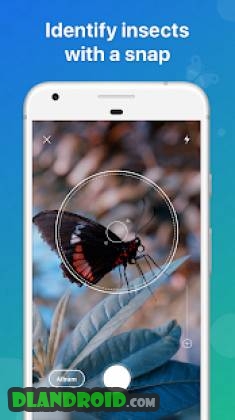 Picture Insect – Bug Identifier Apk Mod 2.7.4 Premium