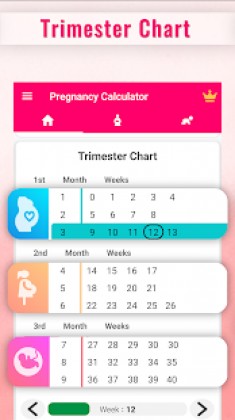 Pregnancy Calculator -Track Pregnancy Week by Week Apk