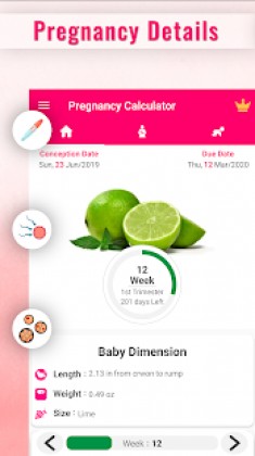 Pregnancy Calculator -Track Pregnancy Week by Week 22.35 ...