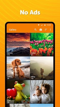 Simple Gallery Pro: Photos Apk Mod