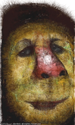 Sketcher PRO Apk