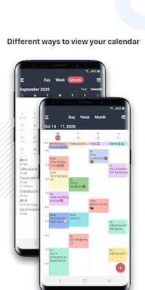 Tiny Calendar: Planner 