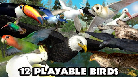 Ultimate Bird Simulator Apk Full