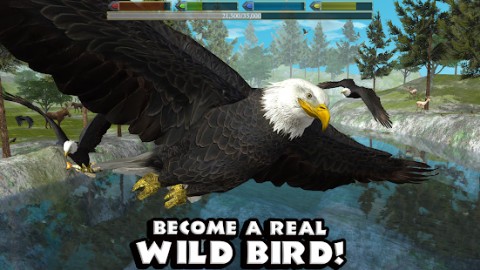 Ultimate Bird Simulator Apk Full