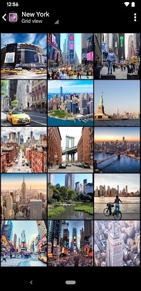 Vertical Gallery Apk