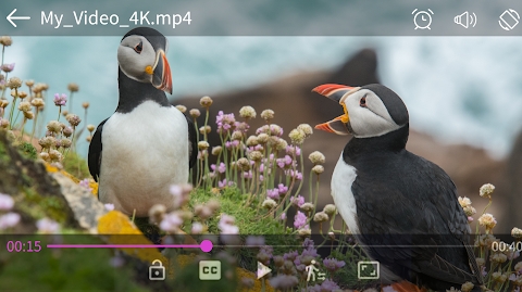 Video player - PRO version Apk