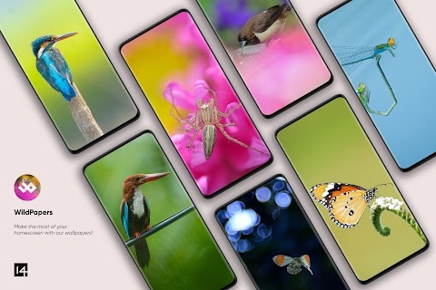 WildPapers - Wildlife Photos Apk
