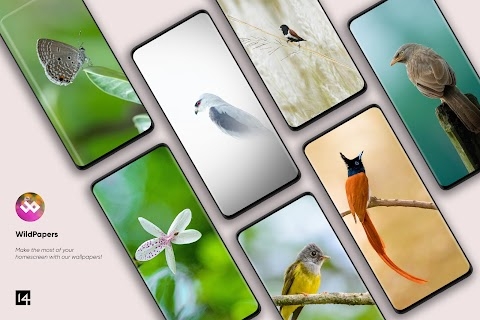 WildPapers - Wildlife Photos Apk